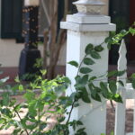 1310 Fiorella.Fence Detail.June 25th.Mak