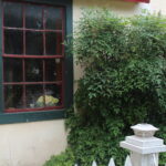 1310 Fiorella.Front Kitchen Window and Fence.July 11th.Mak
