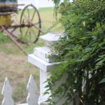 1310 Fiorella.Front Yard Fence in Front of Wagon.July 11th.Mak