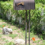 1310 Fiorella.Mailbox.June 25th.Mak