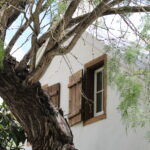 1416 Fiorella.Northwest Elevation Detail featuring Tree.June 20th.Mak