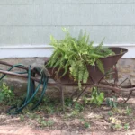 2240 CR 271.Exterior Decor.July 22nd.Mak(3)