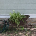 2240 CR 271.Exterior Decor.July 22nd.Mak(4)