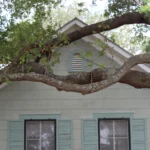 2240 CR 271.Front Facade Vertical Gable.July 22nd.Mak