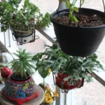 2240 CR 271.Porch (1).July 22nd.Mak(2)