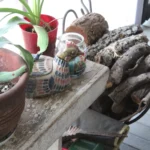 2240 CR 271.Porch (2) Decor.July 22nd.Mak(1)