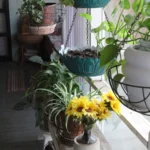 2240 CR 271.Porch (2) Decor.July 22nd.Mak(2)