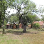 2404 CR 271.Property from Southwest.July 22nd.Mak(1)