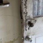 2569 CR 271.Front Door.July 22nd.Mak