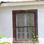 2569 CR 271.Front Facade Window.July 22nd.Mak