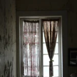 2569 CR 271.Window Front Room.July 22nd.Mak