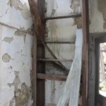 370 CR 466 Castroville - ladder