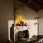 558CC016-4094-47CA-BB09-243E37ED6FC6_4_5005_c