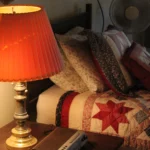 650 CR 271.Attic Lamp.July 17th.Mak