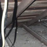 650 CR 271.Attic above Kitchen.July 17th.Mak(3)