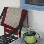 650 CR 271.Back Porch Decor Plant.July 17th.Mak