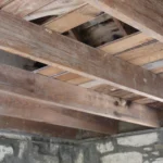 990 CR 271.Ceiling.July 17th.Mak