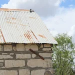 990 CR 271.Partial Front Facade (Vertical).July 17th.Mak