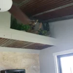 Hubert Weynand - by Rouda - 20240701(23)