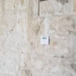 Hubert Weynand - by Rouda - 20240701(35)