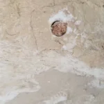 Hubert Weynand - by Rouda - 20240701(9)