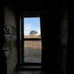 IMG_7680