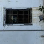 IMG_9823