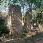 Joseph Ney Stagecoach - by Rouda - 20240702(11)