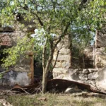 Joseph Ney Stagecoach - by Rouda - 20240702(16)