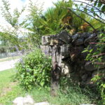 Nico_514 Petersburg_HorsePost