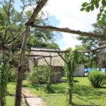 Nico_514Petersburg_Purgola