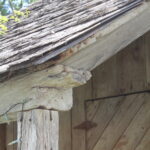 Nico_514Petersburg_ShedDetail2