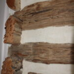 Nico_514Petersburg_WallDetail